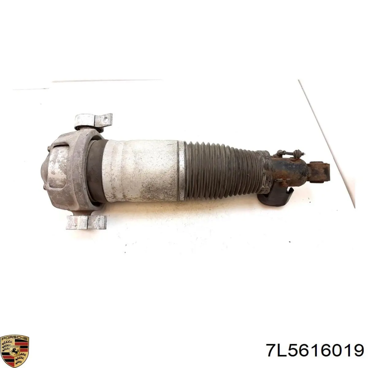 7L5616019 Porsche 