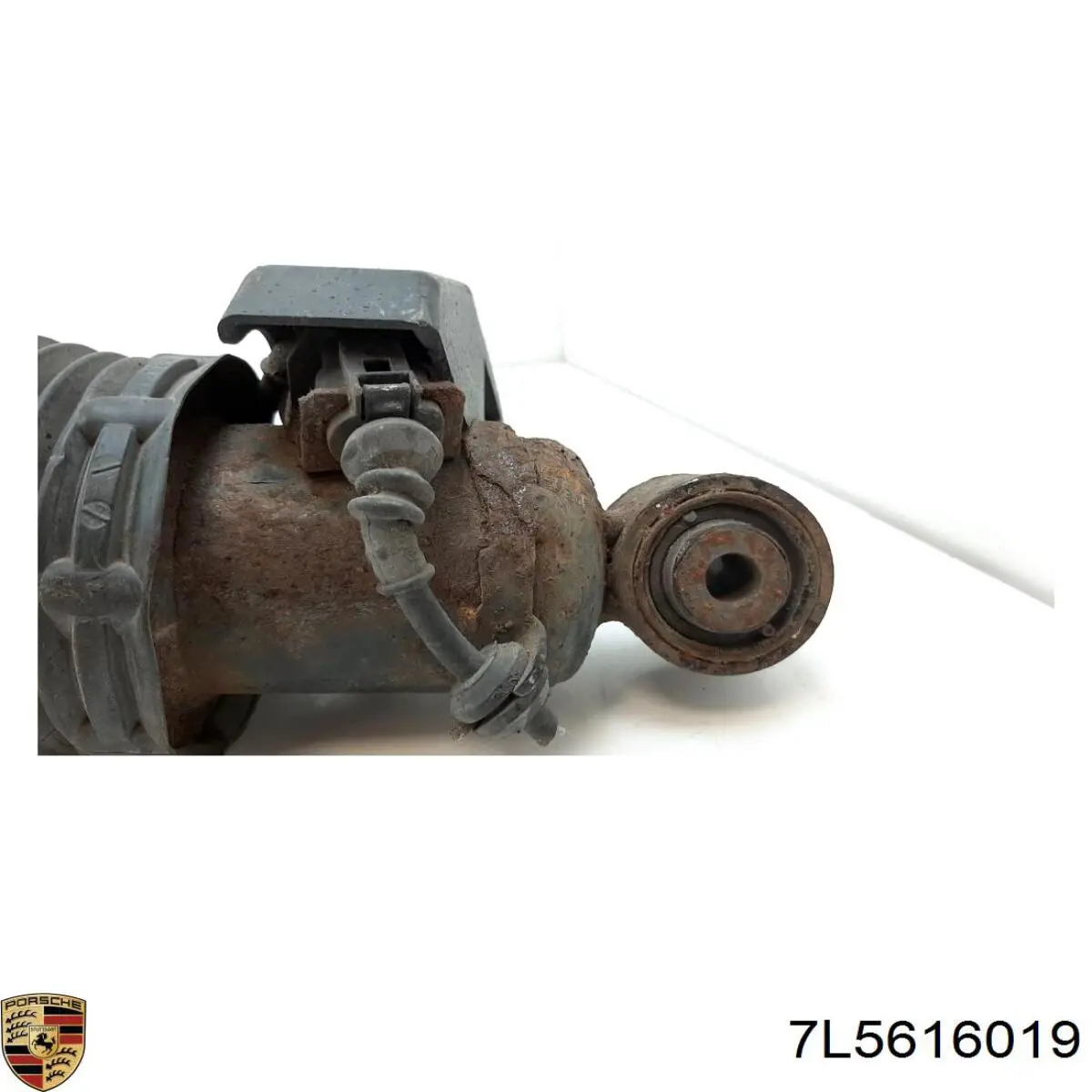  Porsche 7L5616019 ціна, від 188.09 USD