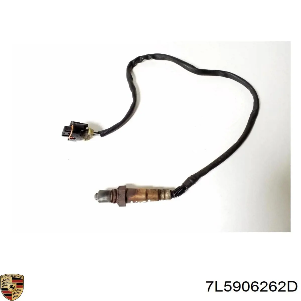 7L5906262D Porsche 