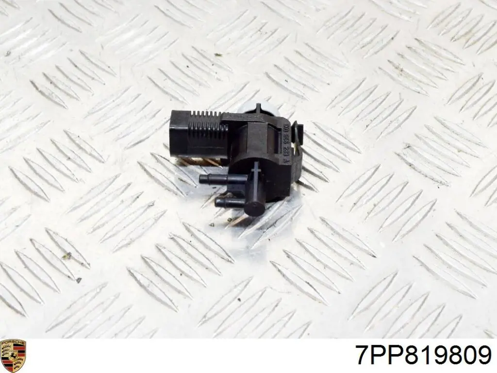  7PP819809 Porsche