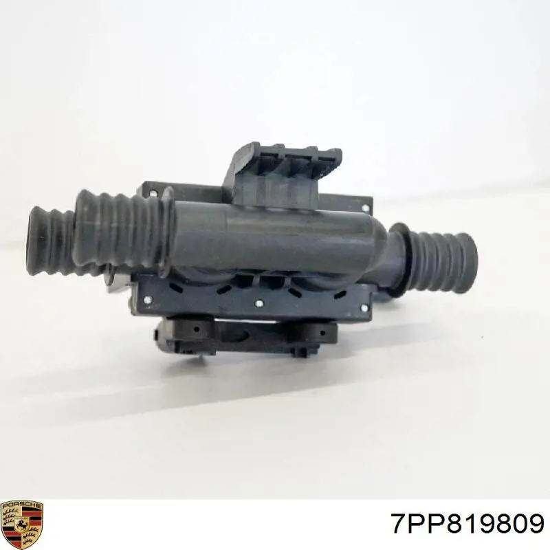 7PP819809 Porsche 
