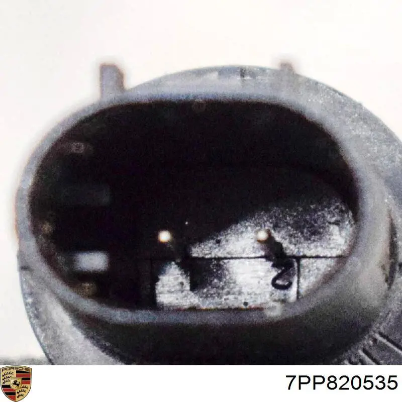  7PP820535 Porsche