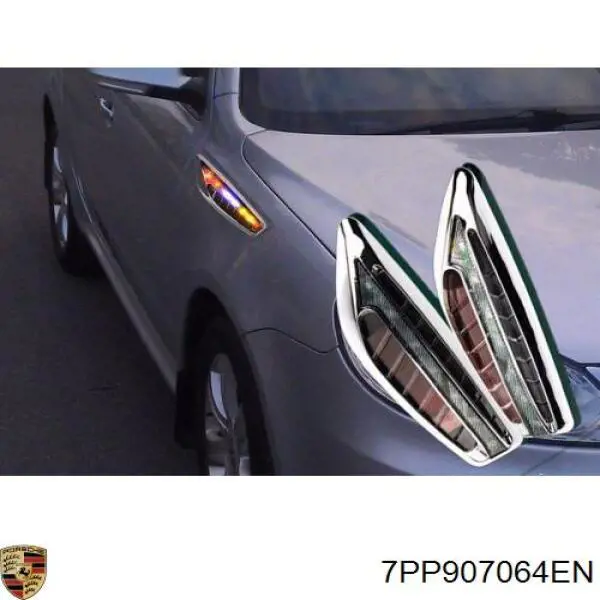  7PP907064GD Porsche