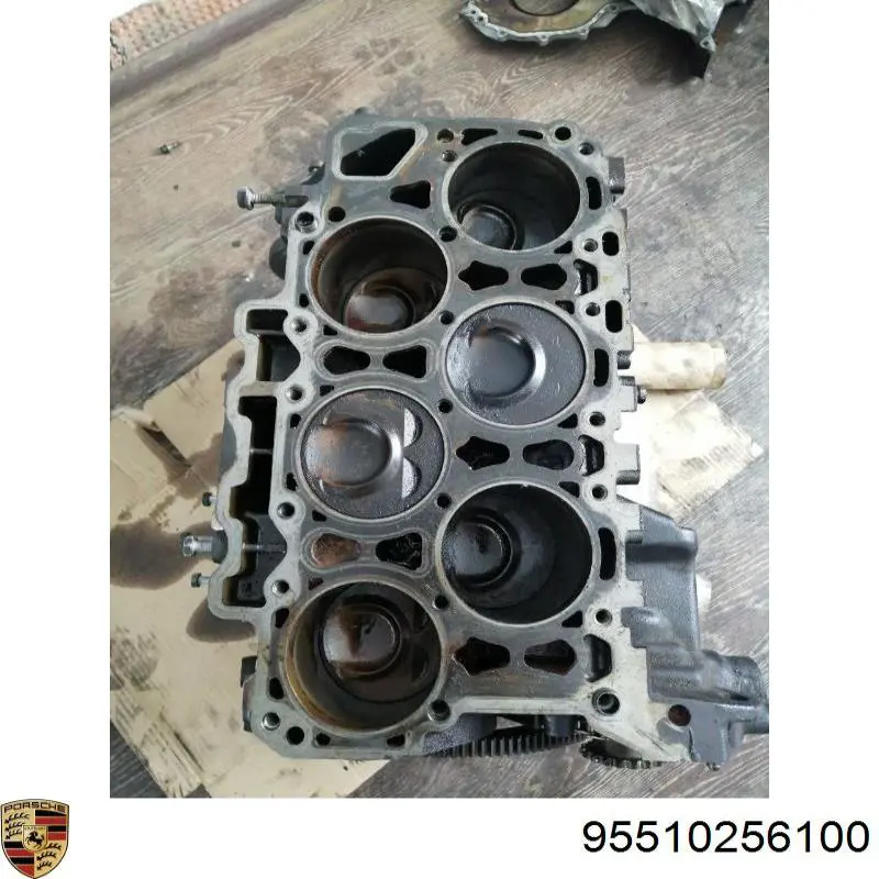 Купити 95510256100 Porsche 