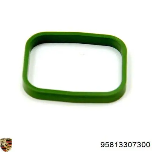 95813307300 VAG 