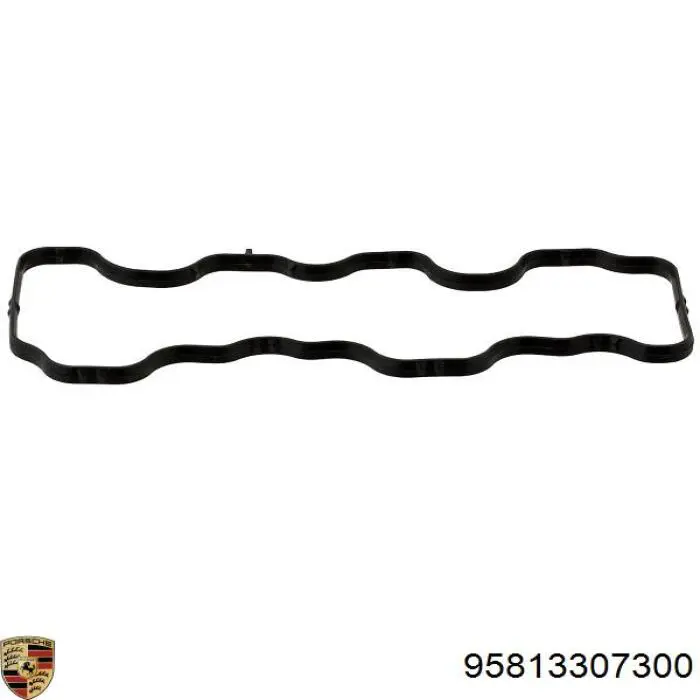  95813307300 VAG
