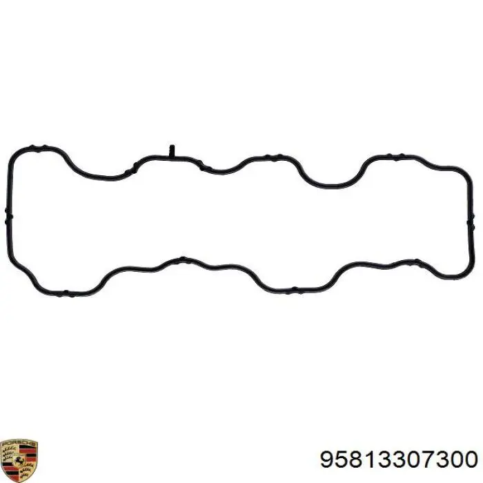 Купити 95813307300 VAG 