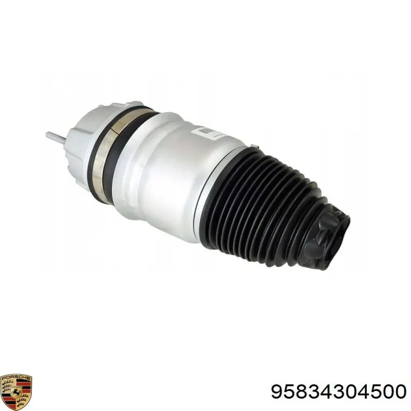 Porsche 95834304500 ціна, від 21.54 USD