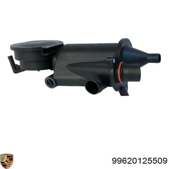  Porsche 99620125509