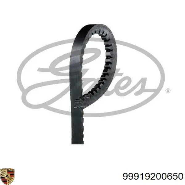 Ремінь генератора 99919200650 Porsche