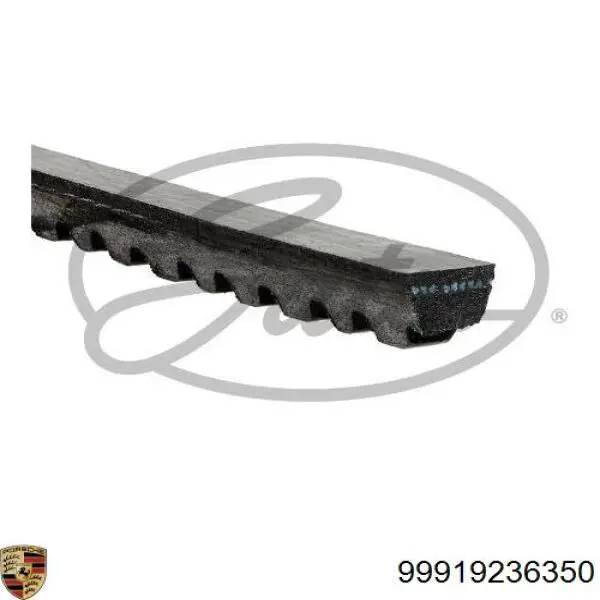 Купити 11720VB5X0 Nissan/Infiniti Ремінь генератора
