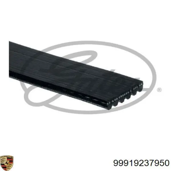 Ремінь генератора 99919237950 Porsche