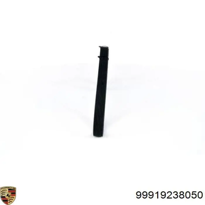 99919238050 Porsche Поліклиновий ремінь