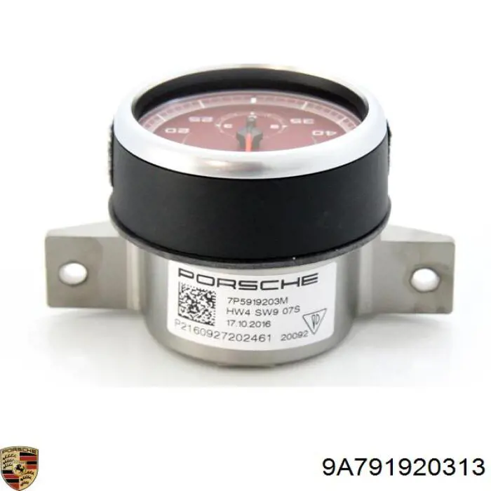9A791920313 Porsche 