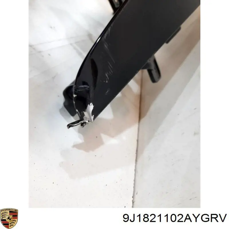 Крила 9J1821102AYGRV Porsche
