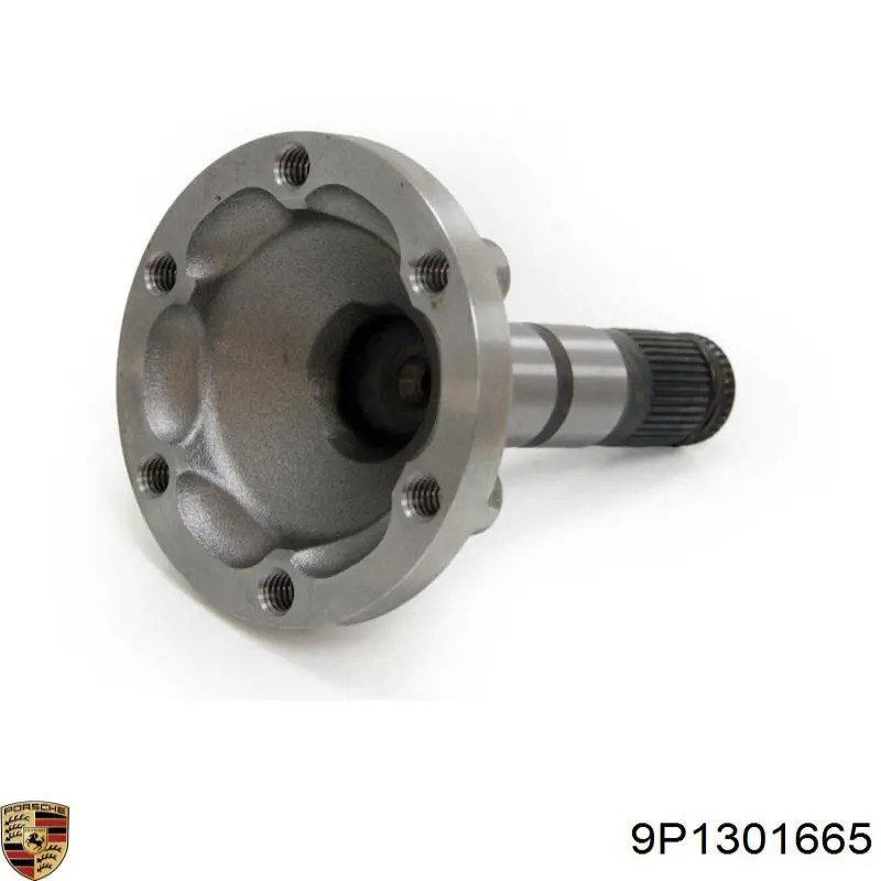  Porsche 9P1301665