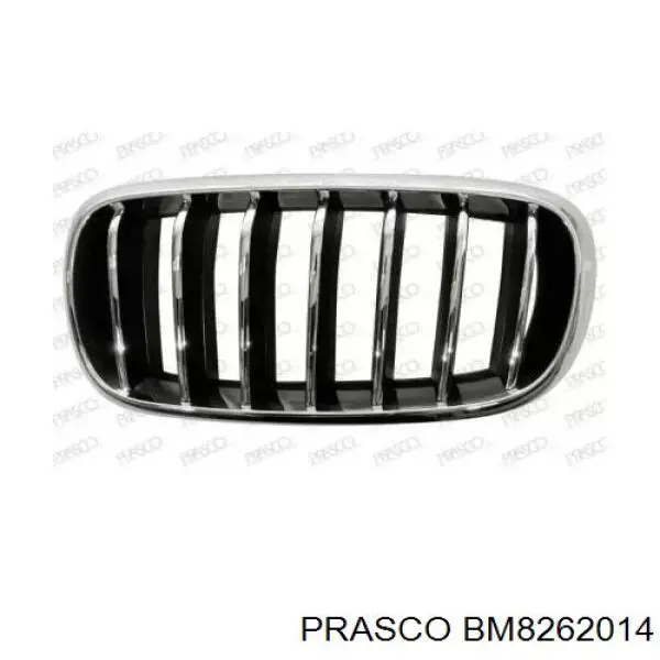 Купити BXF485958AL Rhino Решітка радіатора ліва