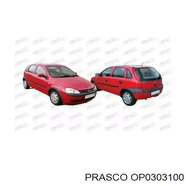 Капот OP0303100 Prasco