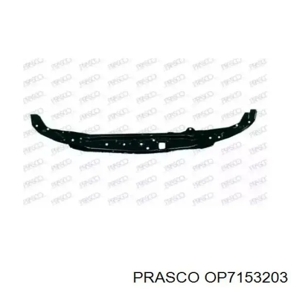 Купити Рамка радіатора Opel Zafira A F75