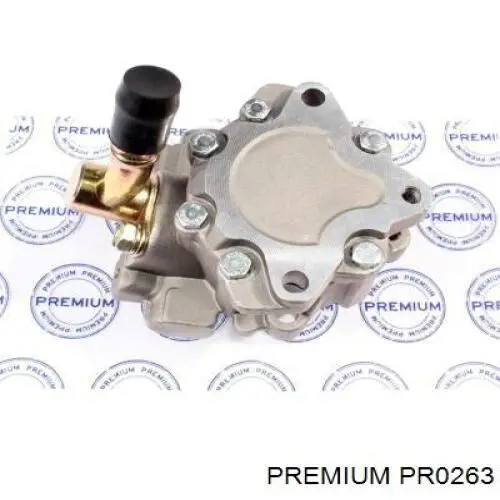 Купити PR0263 Premium Насос занурювальний в баці