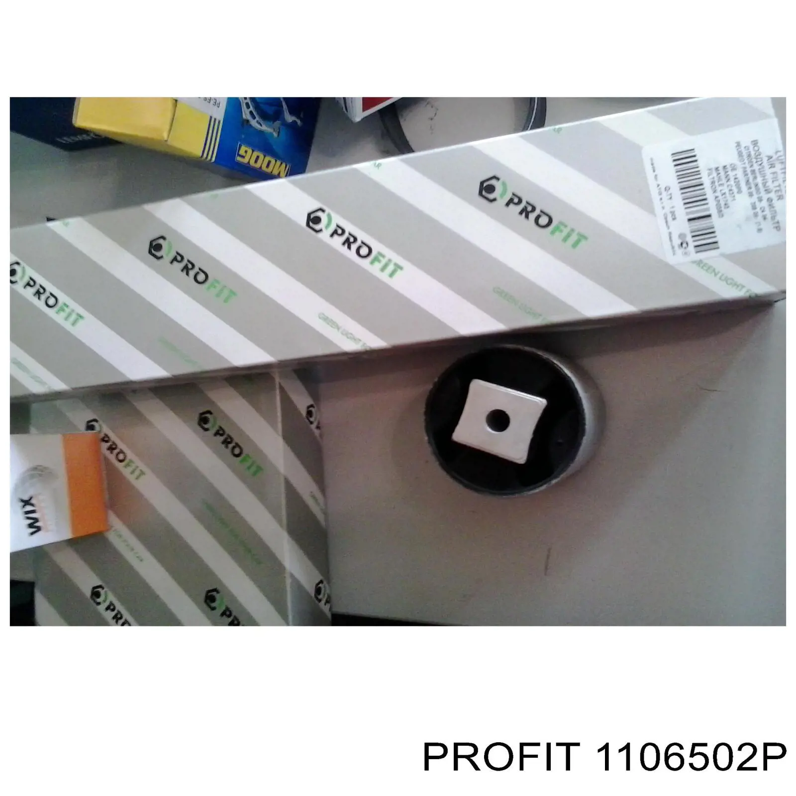 1106502P Profit 