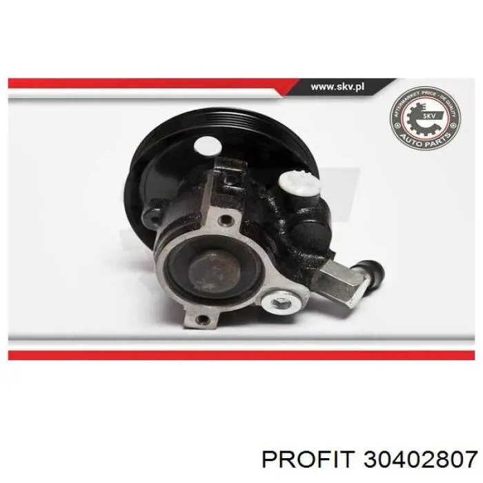 6891391 Ford Насос гідропідсилювача