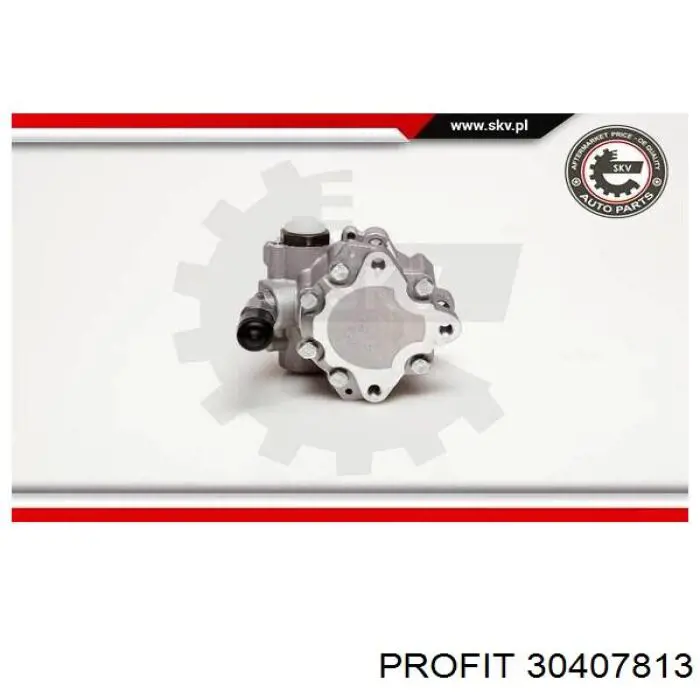 Насос ГПК Profit 30407813 ціна, від 44.34 USD