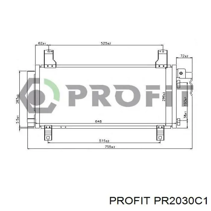 PR2030C1 Profit Конденсатор
