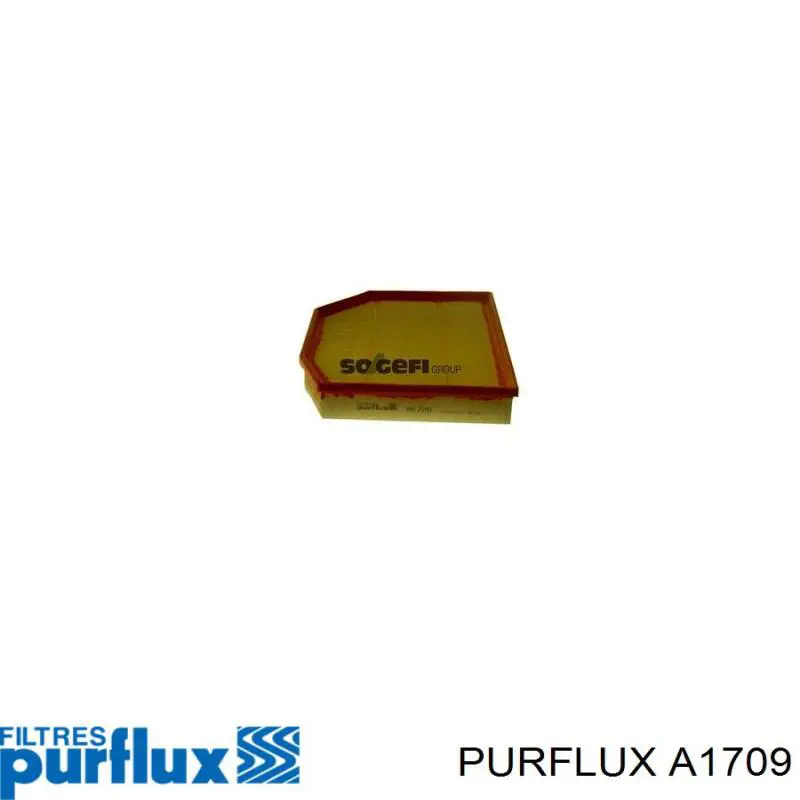 Повітряний фільтр A1709 Purflux