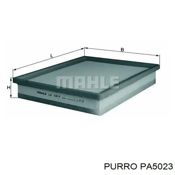  PA5023 Purro