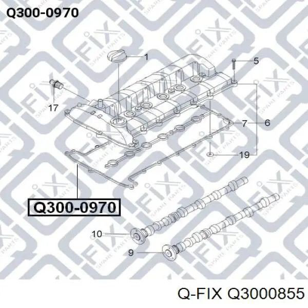 Прокладка клапанної кришки Q3000855 Q-fix