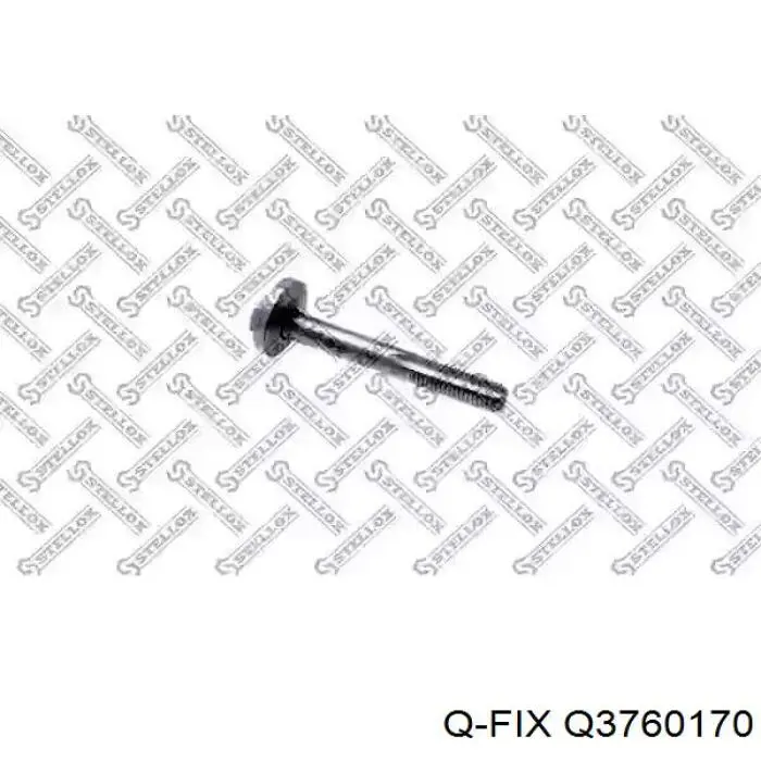Купити Q3760170 Q-fix Болт кріплення заднього нижнього важеля, внутрішній