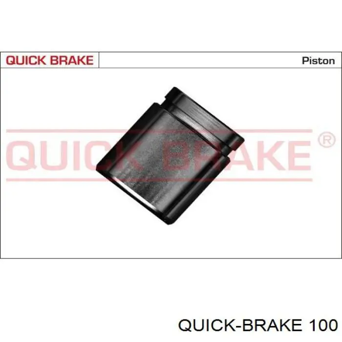 Штуцер прокачування супорту гальмівного, переднього 100 Quick Brake