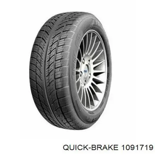 Комплект пружинок кріплення дискових колодок, передніх 1091719 Quick Brake