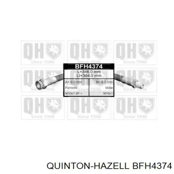  BFH4374 QUINTON HAZELL