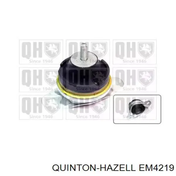 Купити EM4219 QUINTON HAZELL Подушка (опора) двигуна, права верхня