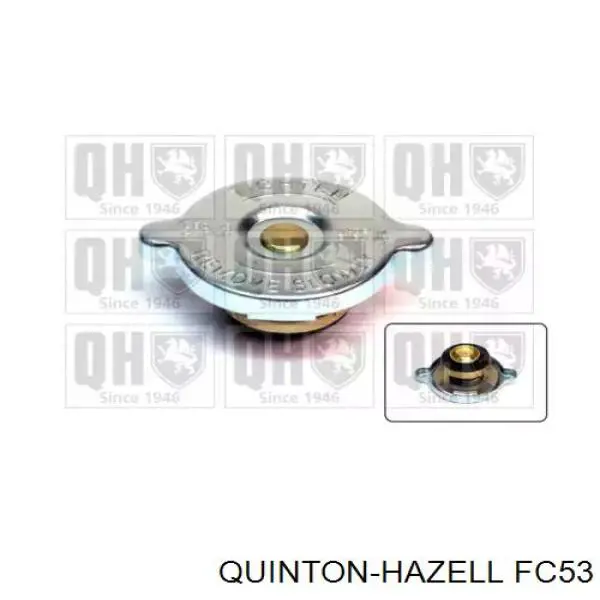 Купити A6315000020 Mercedes Кришка радіатора
