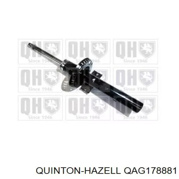 Купити QAG178881 QUINTON HAZELL Амортизатор передньої підвіски