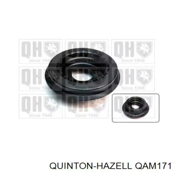 Купити QAM171 QUINTON HAZELL Підшипник опорний амортизатора, переднього