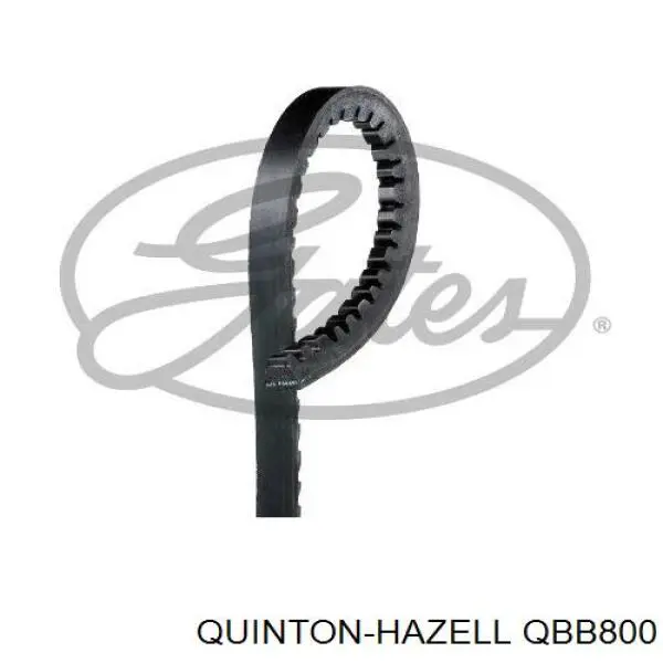 Ремінь генератора QBB800 QUINTON HAZELL
