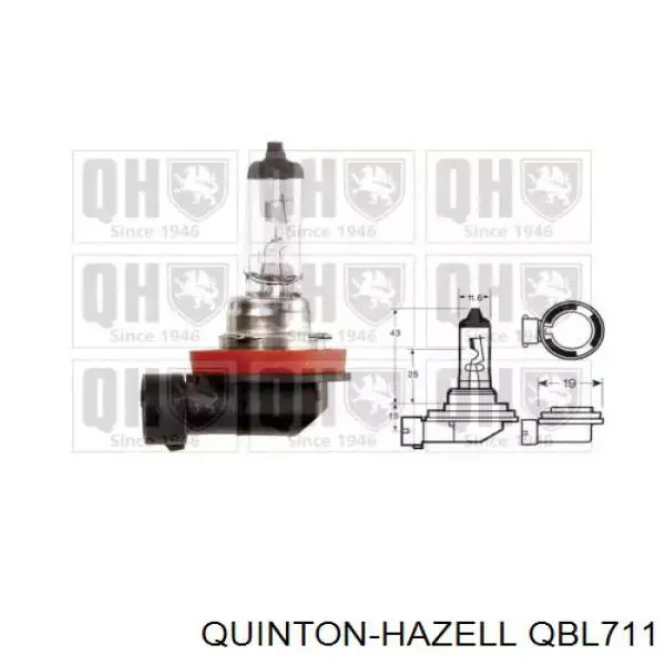 Купити EZH1112V NTY Лампочки