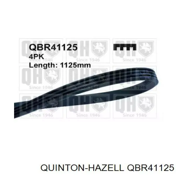 Купити QBR41125 QUINTON HAZELL Ремінь генератора