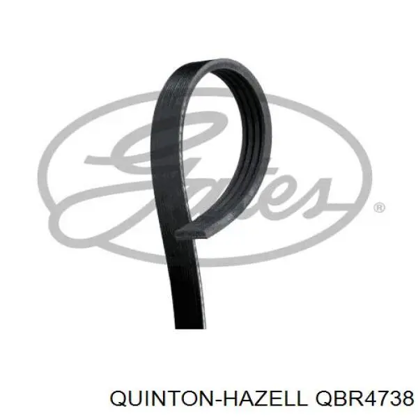 Ремінь приводний, агрегатів QBR4738 QUINTON HAZELL