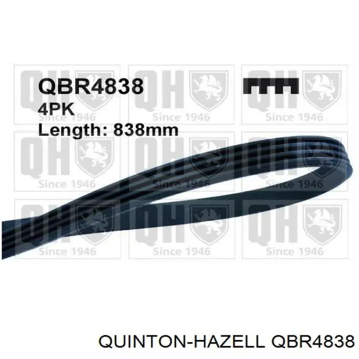 Ремінь приводний, агрегатів QBR4838 QUINTON HAZELL