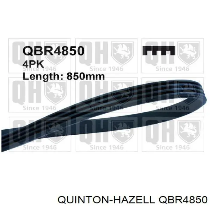 Ремінь приводний, агрегатів QBR4850 QUINTON HAZELL