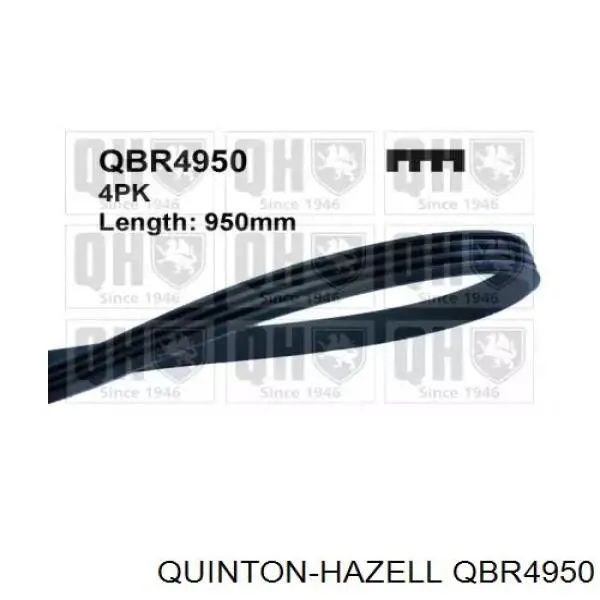 Ремінь приводний, агрегатів QBR4950 QUINTON HAZELL