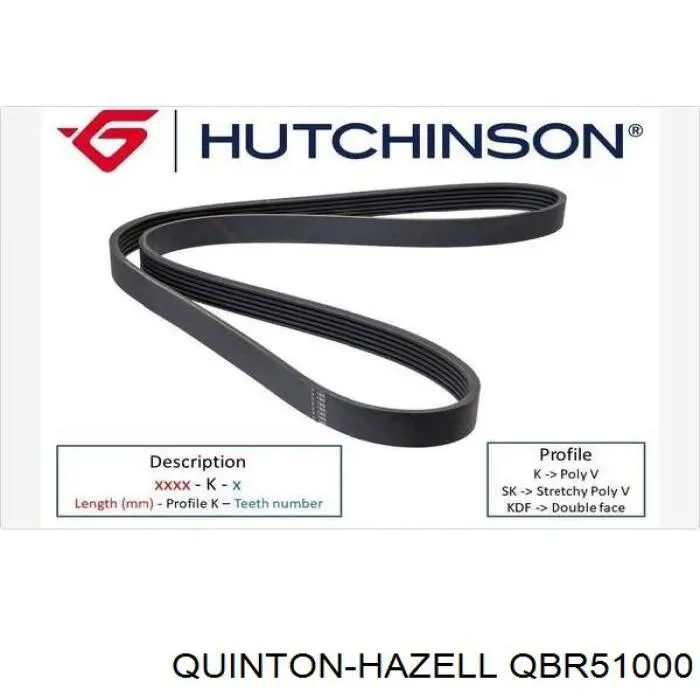 Ремінь приводний, агрегатів QBR51000 QUINTON HAZELL