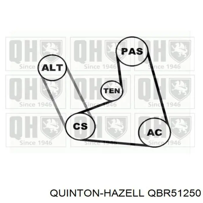 Ремінь приводний, агрегатів QBR51250 QUINTON HAZELL