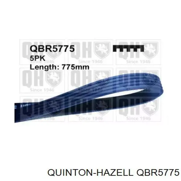 Ремінь приводний, агрегатів QBR5775 QUINTON HAZELL