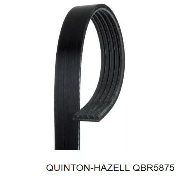 Ремінь генератора QBR5875 QUINTON HAZELL